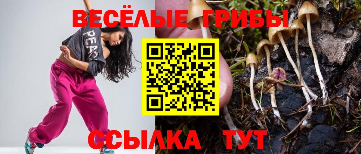 Хабаровск  Галлюциногенные грибы GOLDEN TEACHER  Вход с VPN 